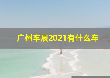 广州车展2021有什么车