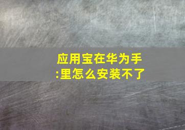 应用宝在华为手:里怎么安装不了