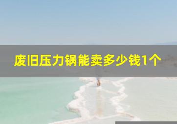 废旧压力锅能卖多少钱1个