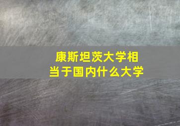 康斯坦茨大学相当于国内什么大学