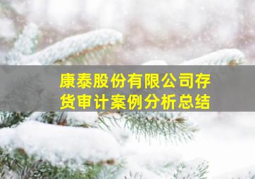 康泰股份有限公司存货审计案例分析总结