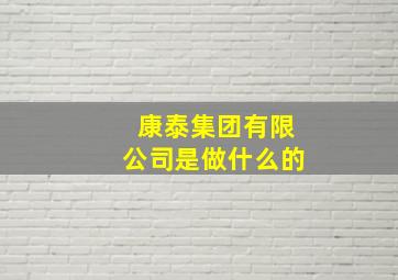 康泰集团有限公司是做什么的