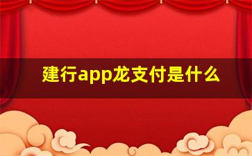 建行app龙支付是什么