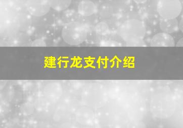 建行龙支付介绍