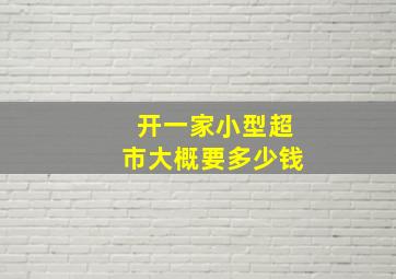 开一家小型超市大概要多少钱