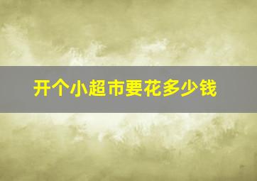 开个小超市要花多少钱