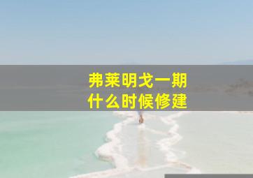 弗莱明戈一期什么时候修建