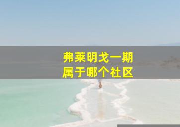 弗莱明戈一期属于哪个社区