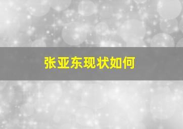 张亚东现状如何