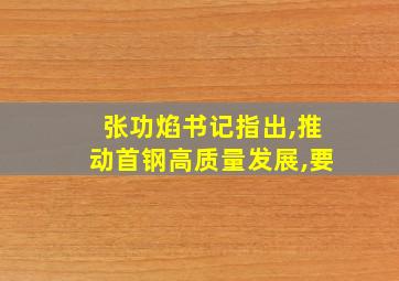 张功焰书记指出,推动首钢高质量发展,要