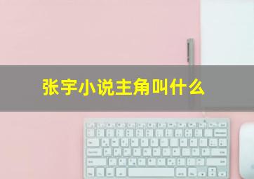 张宇小说主角叫什么