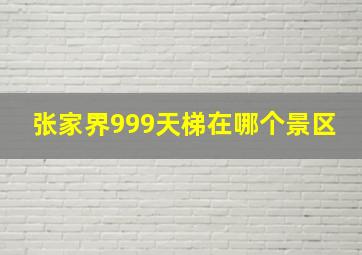 张家界999天梯在哪个景区