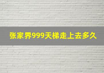 张家界999天梯走上去多久