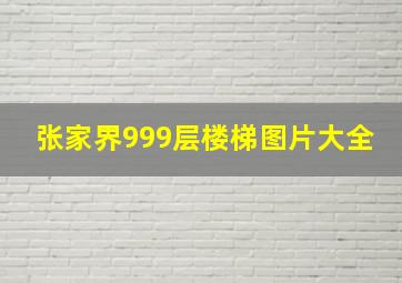 张家界999层楼梯图片大全