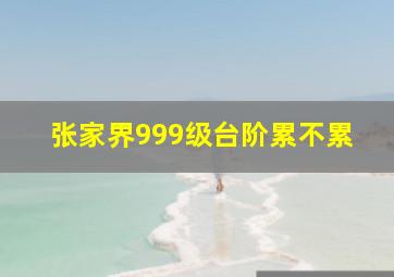 张家界999级台阶累不累