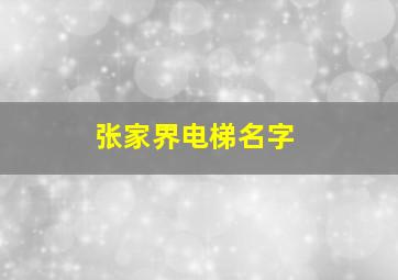 张家界电梯名字