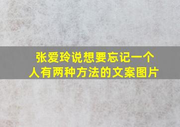 张爱玲说想要忘记一个人有两种方法的文案图片