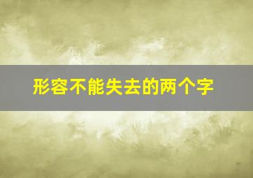 形容不能失去的两个字