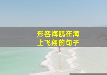 形容海鸥在海上飞翔的句子