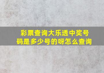 彩票查询大乐透中奖号码是多少号的呀怎么查询