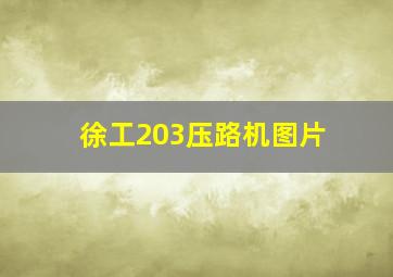 徐工203压路机图片