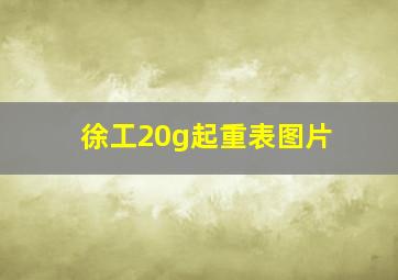 徐工20g起重表图片