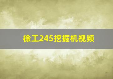 徐工245挖掘机视频