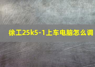 徐工25k5-1上车电脑怎么调