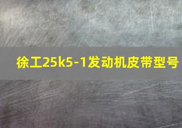 徐工25k5-1发动机皮带型号