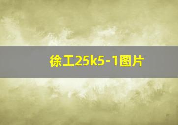 徐工25k5-1图片