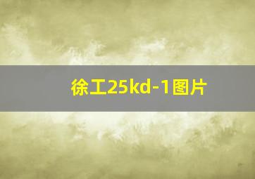 徐工25kd-1图片