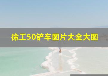 徐工50铲车图片大全大图