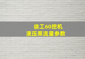 徐工60挖机液压泵流量参数