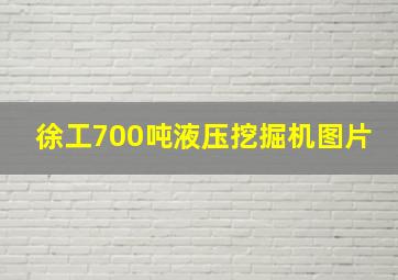 徐工700吨液压挖掘机图片