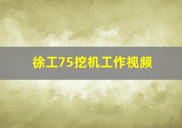 徐工75挖机工作视频