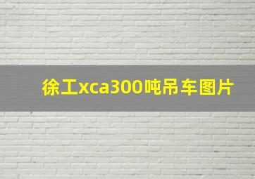 徐工xca300吨吊车图片