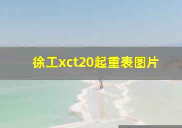 徐工xct20起重表图片