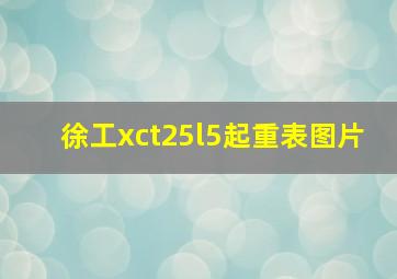 徐工xct25l5起重表图片