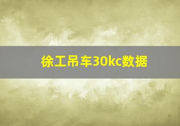 徐工吊车30kc数据