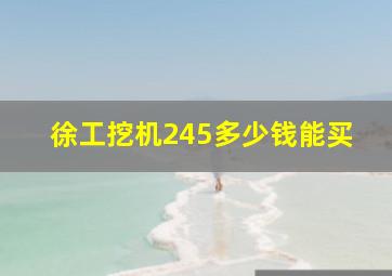 徐工挖机245多少钱能买