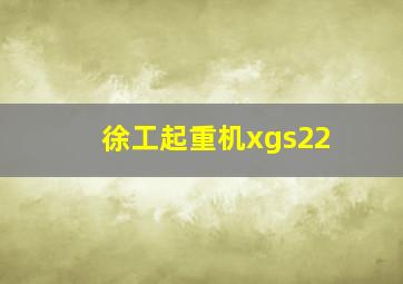 徐工起重机xgs22