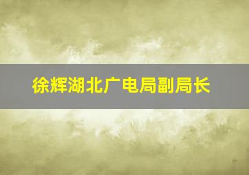 徐辉湖北广电局副局长