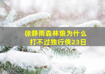 徐静雨森林狼为什么打不过独行侠23日