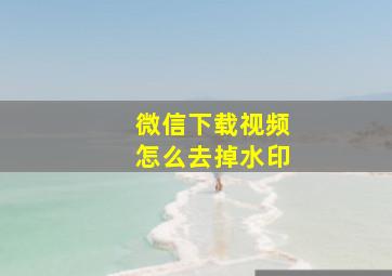 微信下载视频怎么去掉水印