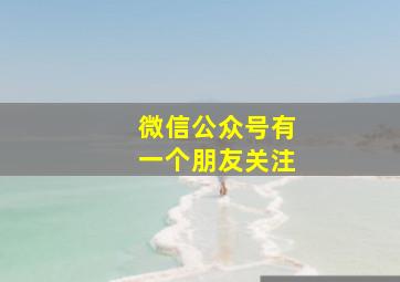 微信公众号有一个朋友关注