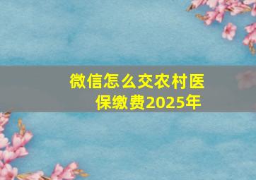 微信怎么交农村医保缴费2025年