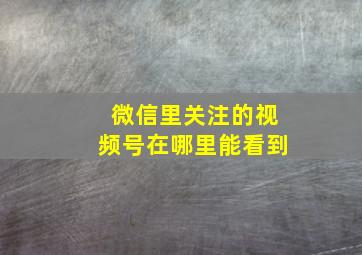 微信里关注的视频号在哪里能看到