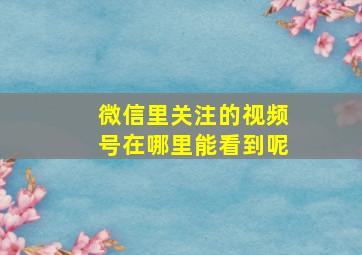 微信里关注的视频号在哪里能看到呢