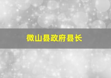 微山县政府县长