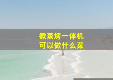 微蒸烤一体机可以做什么菜